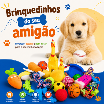 Brinquedos do amigão